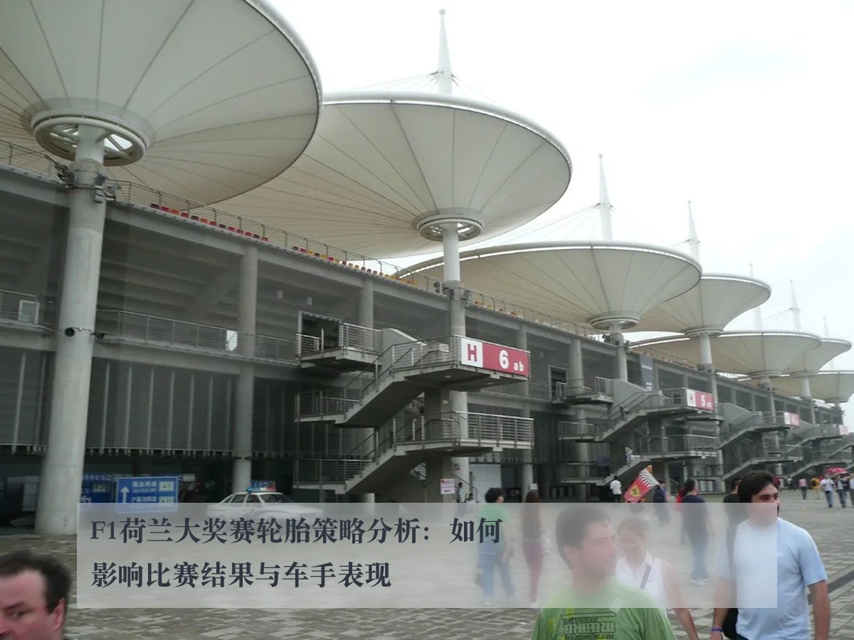 F1荷兰大奖赛轮胎策略分析:如何影响比赛结果与车手表现